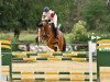 jumper Deleila Mehari (German Sport Horse, 2007, from Del Martino)