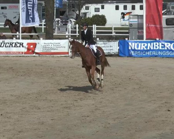 Lenklarer Reitertage 2015
