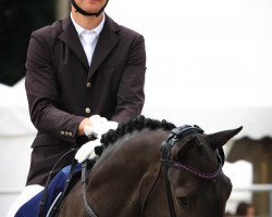 dressage horse Vive la Vie OLD (Oldenburg, 2016, from Honoré du Soir)