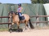 dressage horse Die Eiskönigin B (German Riding Pony, 2017, from Dreiklang AT)