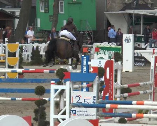 Lenklarer Reitertage 2015