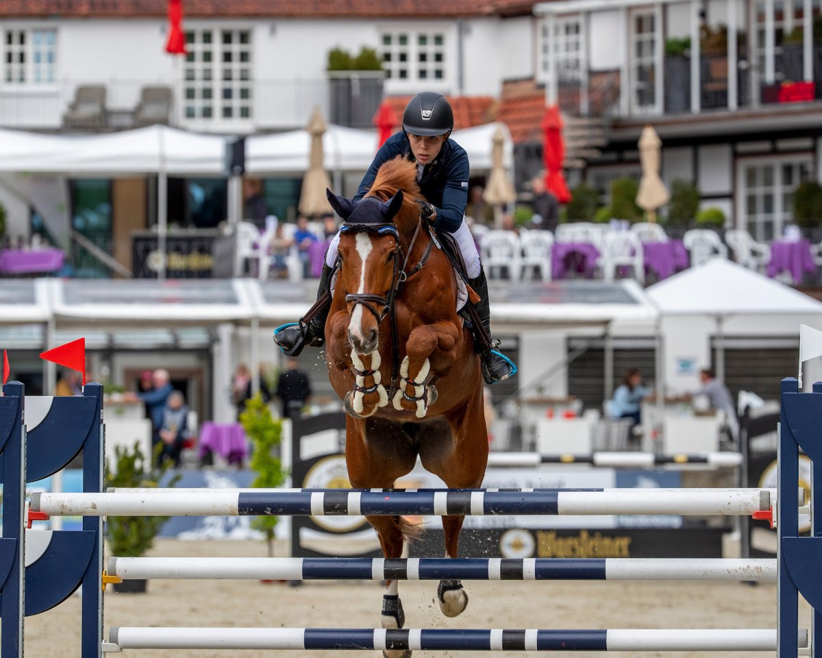 broodmare Calibou N (Oldenburg, 2011, from Califax)
