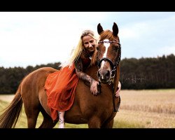 Springpferd Joyce (Deutsches Reitpony, 1997, von Jacobspeel's Rocky)