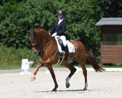 dressage horse Diamond 138 (KWPN (Royal Dutch Sporthorse), 2008, from Rubiquil)