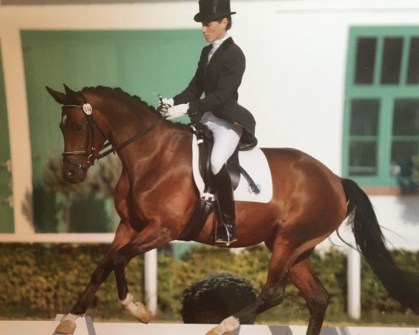 broodmare Hirondelle 11 (Trakehner, 2005, from Cadeau)