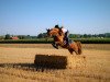 broodmare Lillifee 103 (German Riding Pony, 2007, from Losander)