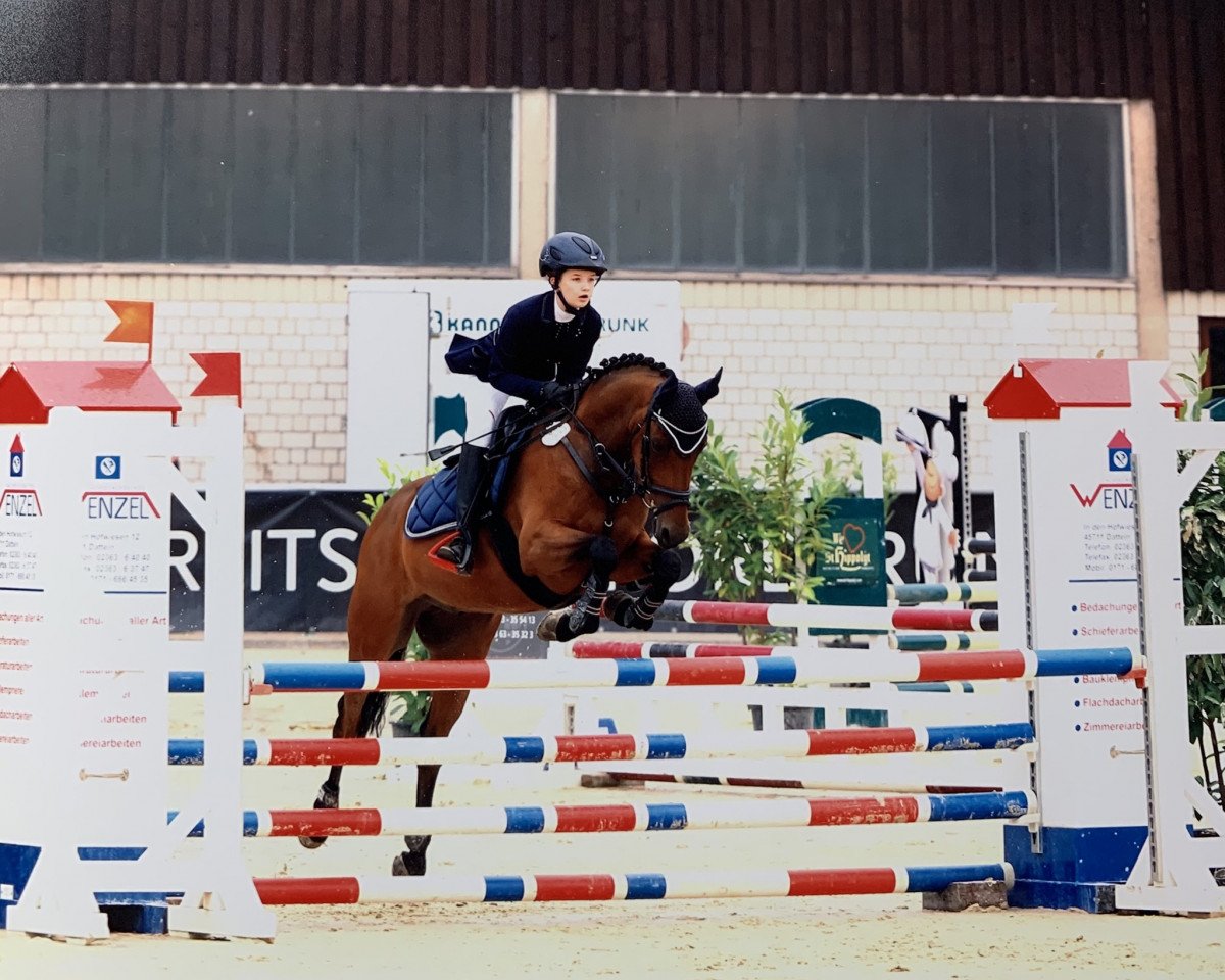 Springpferd MPS Tommy Hilfiger (Deutsches Reitpony, 2009, von Top Anthony II)