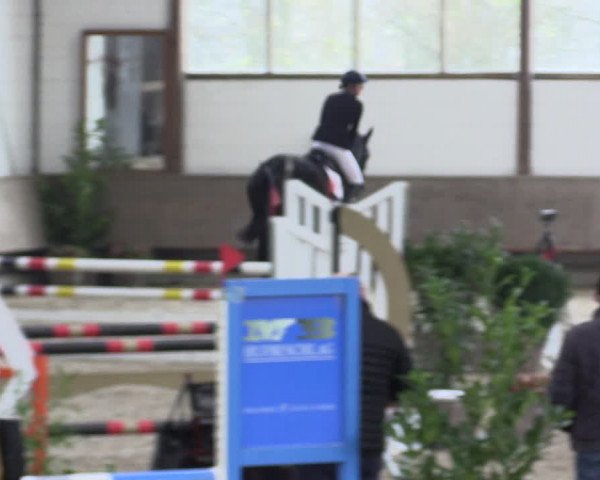 Reitturnier Langenfeld - Gut Langfort 2021