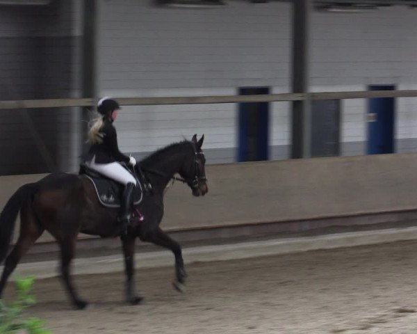 Reitturnier Langenfeld - Gut Langfort 2021