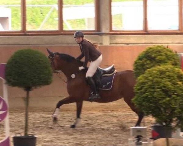 Hallenturnier Leverkusen-Rheindorf 2015