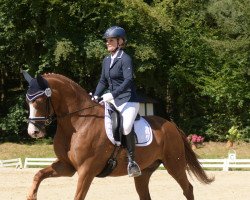 dressage horse Lumpi de Luxe (Hanoverian, 2013, from Heslegards Louis)