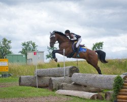 jumper Säntis SH (German Sport Horse, 2014, from Samos)