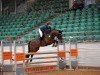 jumper Cosmic - Man (German Sport Horse, 2008, from Charon)