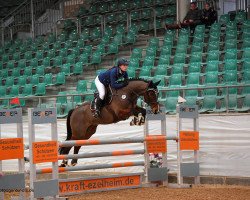 jumper Cosmic - Man (German Sport Horse, 2008, from Charon)