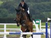 jumper Delane 8 (Oldenburg show jumper, 2013, from Diarado)