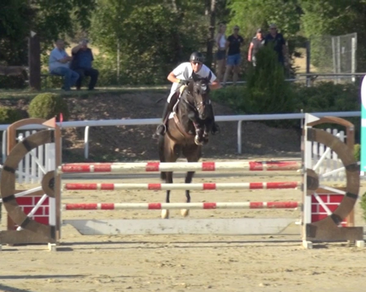 jumper Peppercrack K (Hanoverian, 2014, from Perigueux)
