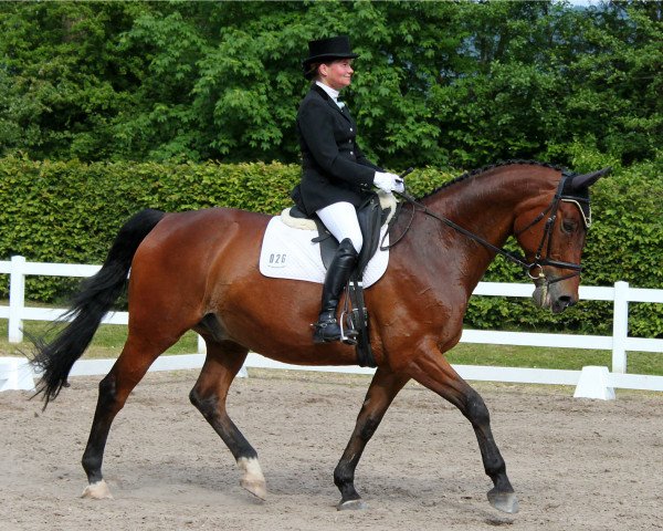 dressage horse Bio-Tobi (Trakehner, 1999, from Biotop)