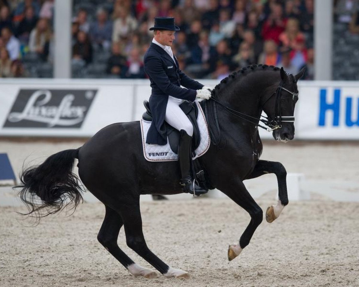 Deckhengst Totilas (KWPN (Niederländisches Warmblut), 2000, von Gribaldi)