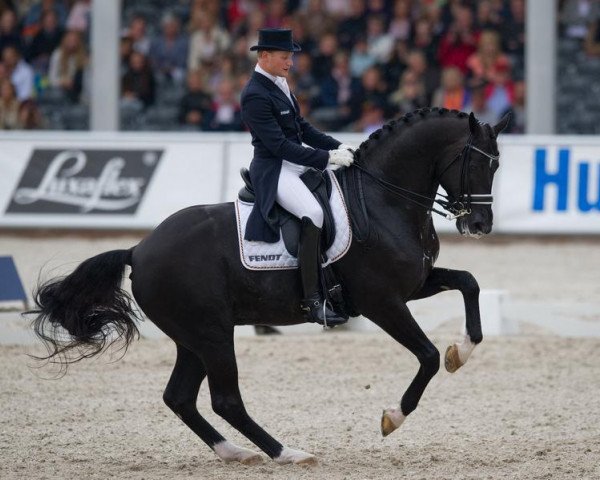 Deckhengst Totilas (KWPN (Niederländisches Warmblut), 2000, von Gribaldi)