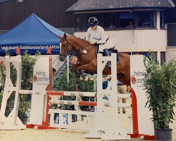 broodmare Miss Diorella K (German Riding Pony, 2014, from Dimension AT NRW)