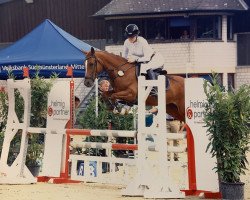 broodmare Miss Diorella K (German Riding Pony, 2014, from Dimension AT NRW)