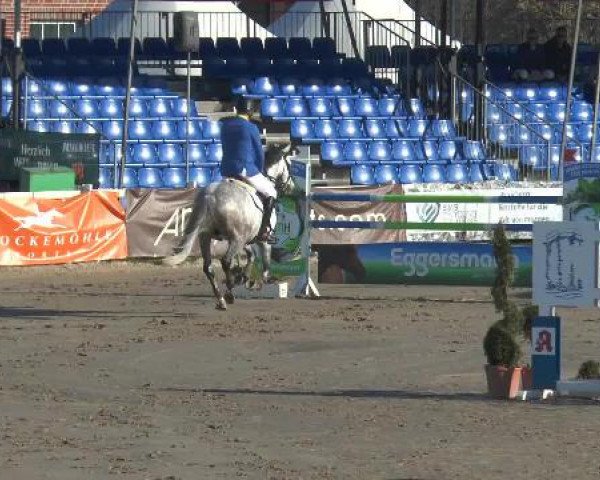 Lenklarer Reitertage 2015