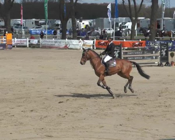 Lenklarer Reitertage 2015