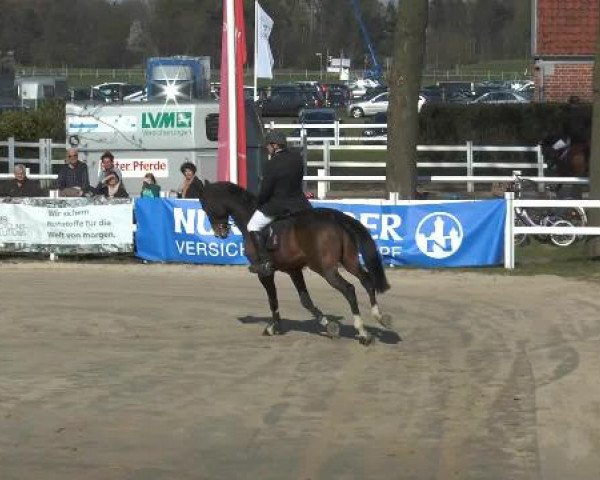 Lenklarer Reitertage 2015