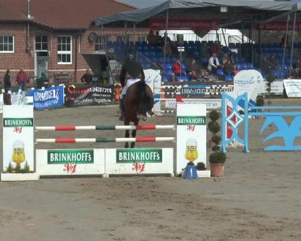 Lenklarer Reitertage 2015