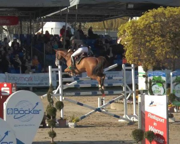 Lenklarer Reitertage 2015