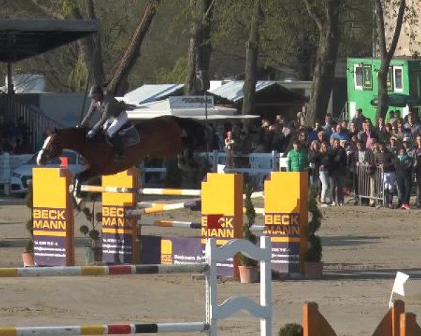 Lenklarer Reitertage 2015
