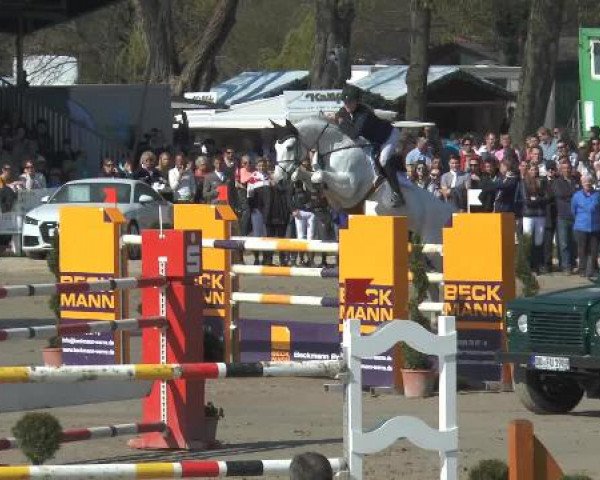 Lenklarer Reitertage 2015