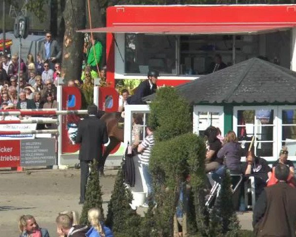 Lenklarer Reitertage 2015