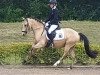 dressage horse Colorado de Luxe (German Riding Pony, 2015, from FS Champion de Luxe)