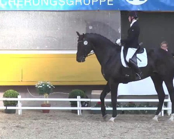 6. Pforzheimer Dressurtage 2015
