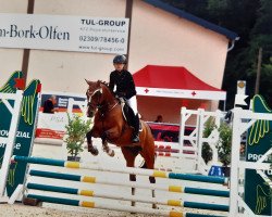 dressage horse Moonlight Shadow (Friese, 2004)