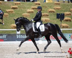 stallion Fiorenzo HJ (Württemberger, 2012, from Fürst Fugger)