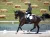 dressage horse Falcao (Hanoverian, 2012, from Fürst Nymphenburg)