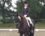 dressage horse Delavan (Hanoverian, 2004, from Don Frederico)