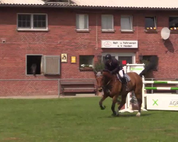 Großes Reit- und Springturnier Heiden 2015