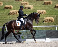 dressage horse Fanfarron Hj (German Sport Horse, 2015, from Fürstenball)