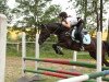 jumper Caya 27 (German Riding Pony, 2005, from Cebulon)