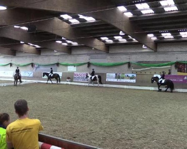 Hallenturnier Leverkusen-Rheindorf 2015
