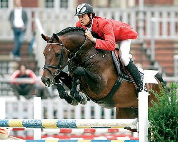 stallion Numero Uno (Royal Warmblood Studbook of the Netherlands (KWPN), 1995, from Libero H)