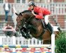 jumper Numero Uno (Royal Warmblood Studbook of the Netherlands (KWPN), 1995, from Libero H)