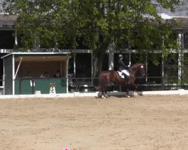 Spenge-Wallenbrück 2015