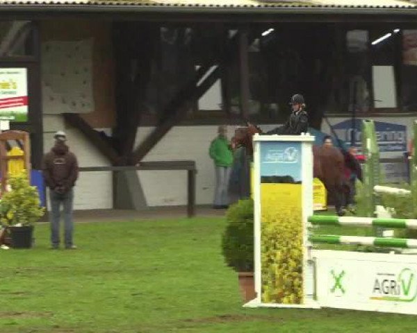 Großes Reit- und Springturnier Heiden 2015