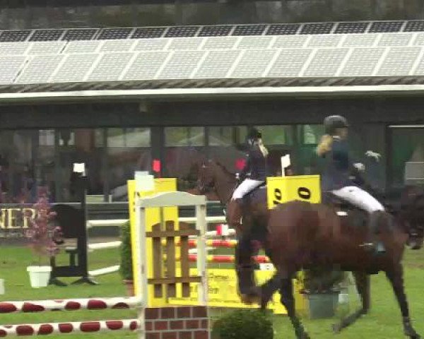 Großes Reit- und Springturnier Heiden 2015