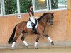 dressage horse Dario (Rhinelander, 2017, from Discover 7)