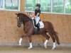 dressage horse Ercolano (German Sport Horse, 2016, from Equitares)